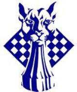 Blue Panther LLC